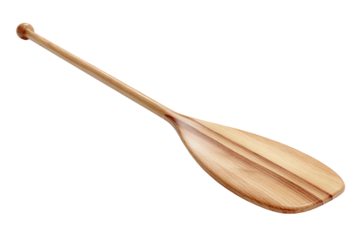 Professional paddle isolated on transparent background