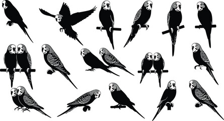Naklejka premium Budgerigar parakeet silhouettes, perched flying bird vector, exotic pet artwork design, ornithology animal profile illustration, flock behavior artwork