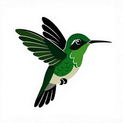 hummingbird illustration 