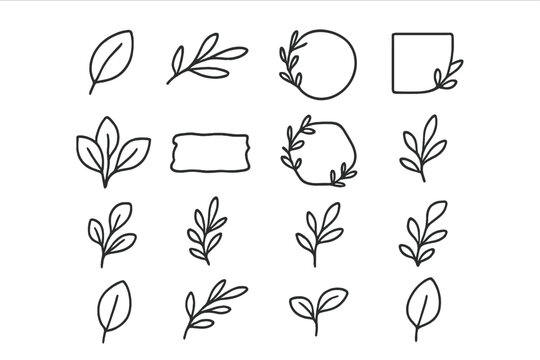 Botanical elements and frames line art