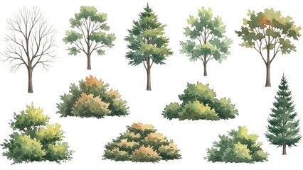 A diverse collection of trees and shrubs illustrated in various styles and seasons.
