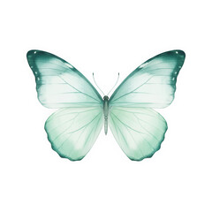 Teal and Mint Green Watercolor Butterfly Illustration, Elegant Winged Insect Design for Nature Themes