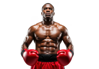Muscular boxer with red gloves isolated on transparent background