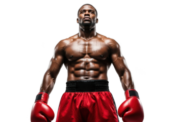 Boxer with red shorts and gloves isolated on transparent background