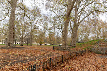 Autumn leaves in London park on cloudy november day