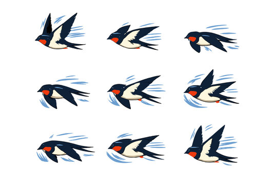Barn Swallow Flying Animation Sequence