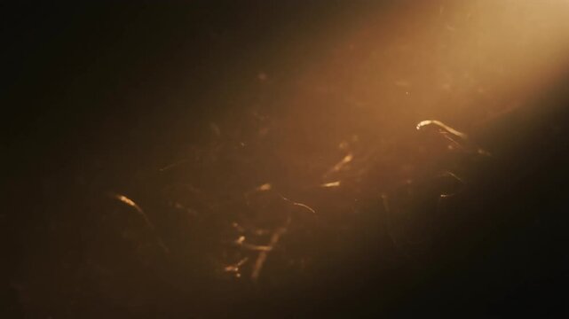 Golden Light Ray in Dark Air