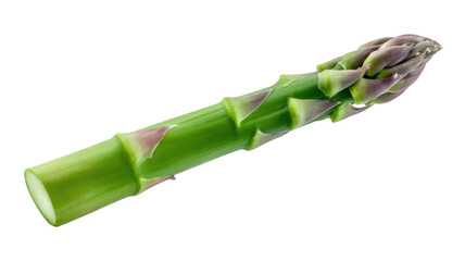 Fresh green asparagus spear isolated on transparent background