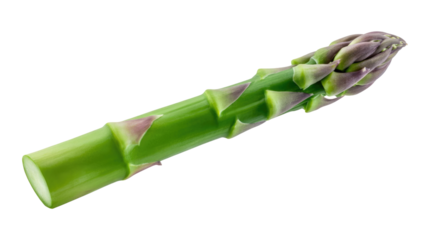 Fresh green asparagus spear isolated on transparent background