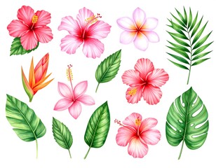 Watercolor depiction of various vibrant tropical flowers and lush leaves
