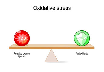 Oxidative stress and balance between antioxidants and Reactive oxygen species