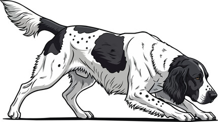 Large Münsterländer dog crouched alert focused hunting stance