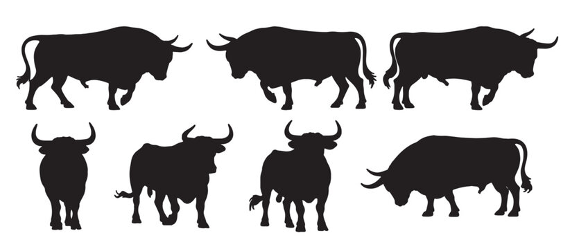  six silhouettes of powerful spanish bulls 