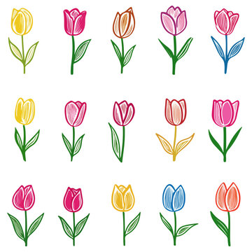 tulips, illustrations, flowers, festival, dutch tulip season, vector, transparent background, icons, tulip set, tulip, flower, blossom, nature, bloom, floral, beauty, plant, beautiful