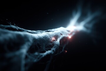 Mycelial Network. Organic Complex Biologic Mycelium. Abstract Network Structure.