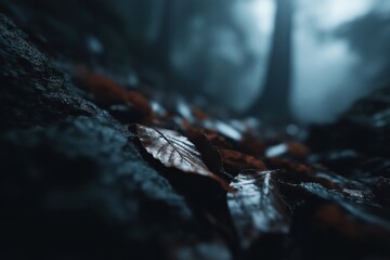 Macro View of Fallen Autumn Leaf on Forest Floor