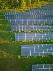 Aerial vertical view of solar panels on a green field, bathed in the morning sun, showing the boundary between the meadow and the panels.