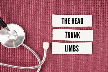 What are the three main parts of a body?
he human body is composed of three main parts: the head, trunk, and limbs.