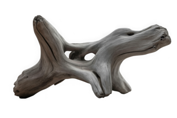 A detailed studio shot of a beautifully weathered driftwood piece on a white  background isolated on transparent background
