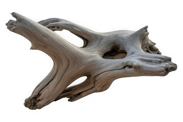 A gnarled piece of weathered driftwood with intricate details isolated on a white background isolated on transparent background