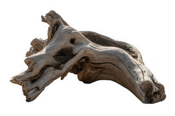 A gnarled piece of weathered driftwood with intricate texture and holes isolated on transparent background