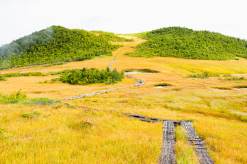 燧ヶ岳の湿原、熊沢田代
