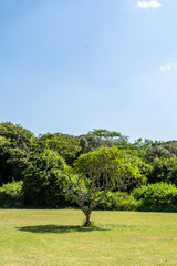 Fototapeta premium The vast natural plains of Kenya, Africa