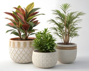 Obraz premium A small cactus growing in a flowerpot at home