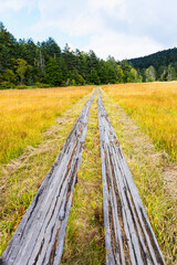 秋の尾瀬、大江湿原の木道