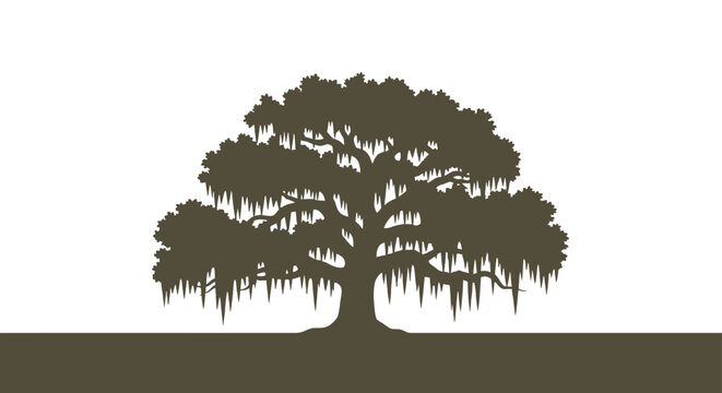 live oak tree silhouette with spanish moss hanging from branches on white background vector illustration for branding logo or southern design