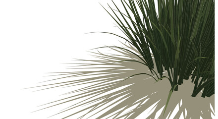 Fototapeta premium ornamental grass vector illustration casting long shadow on white background for landscape design gardening catalog and eco branding layouts