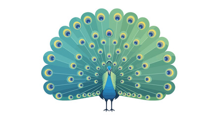 Stylized illustration of a peacock with vibrant, detailed feather display showcasing elegance and