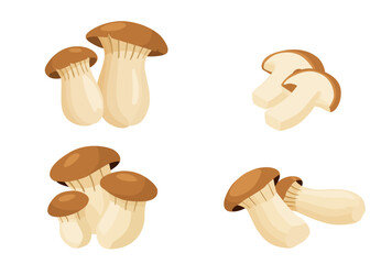 set of King oyster mushroom vector  isolated on white background.	