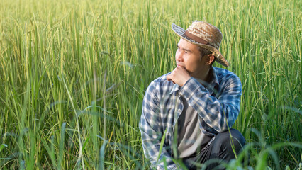 An Asian man is sitting in front of a rice farm.