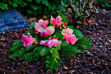 schöner Grabschmuck aus Tannen und Rosen  alter Friedhof in Essen-Werden © Blende8