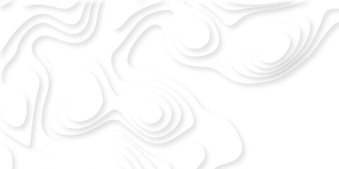 Abstract white papercut luxury diamond creative technology background. vector natural shadow papercut web topography map spiral line origami wave business texture.