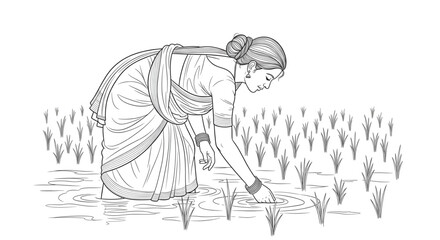 Fototapeta premium Woman Tending Rice Paddies, Sustainable Agriculture, Rural Farming, Food Production, Healthy Lifestyle, Organic Harvest, Earthy