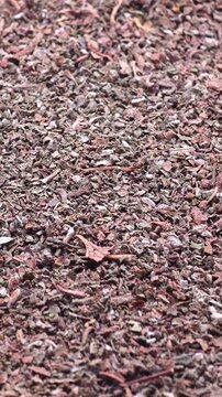 Cistus incanus (rockrose herb) dried leaves close-up. Digestive and immune system support, herbal medicine, vertical video