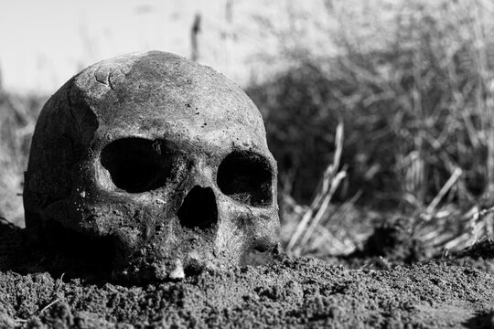 The skull of an ancient man excavated by archaeologists lies on the sand above against the backdrop of a blue sky at sunset.