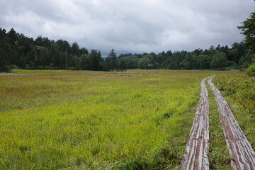 夏の終わり、尾瀬の尾瀬沼へ向かって湿原の中を進む木道。