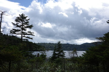 湿原から望む、夏の終わりの尾瀬沼