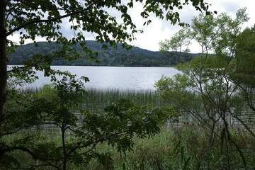 湿原から望む、夏の終わりの尾瀬沼