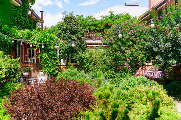 Green garden with plants and seating in a sunny day