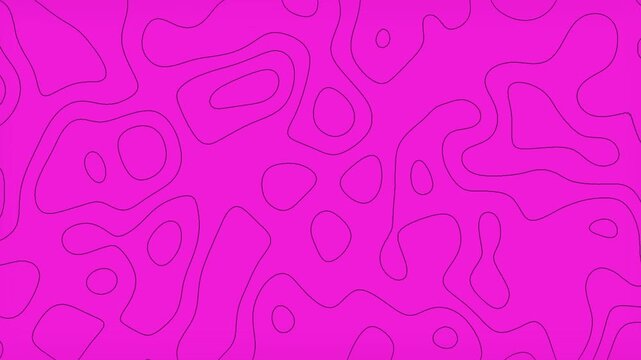 Abstract Bright Pink Topographic Map Background with Minimalist Black Contour Lines and Fluid Organic Curves
