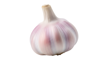 A single bulb of garlic on a black background