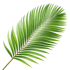 What does this remind you of? on transparent background