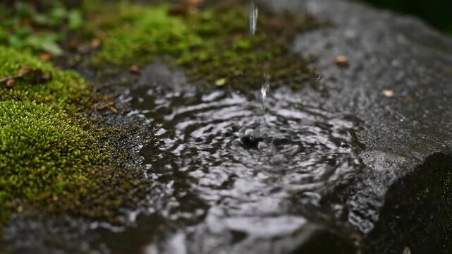 Extreme close-up slow motion shot of large raindrops silently falling and splashing onto a rough, dark, moss-covered tombstone surface wet, element, solitude