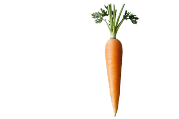 Fresh carrot isolated on transparent background
