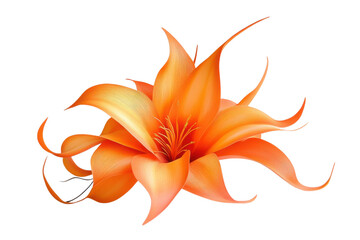 Blooming sleek and elegant orange flower isolated on transparent background