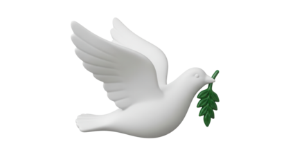 Isolated peace dove with olive branch, symbol of reconciliation, flight of hope, fresh start